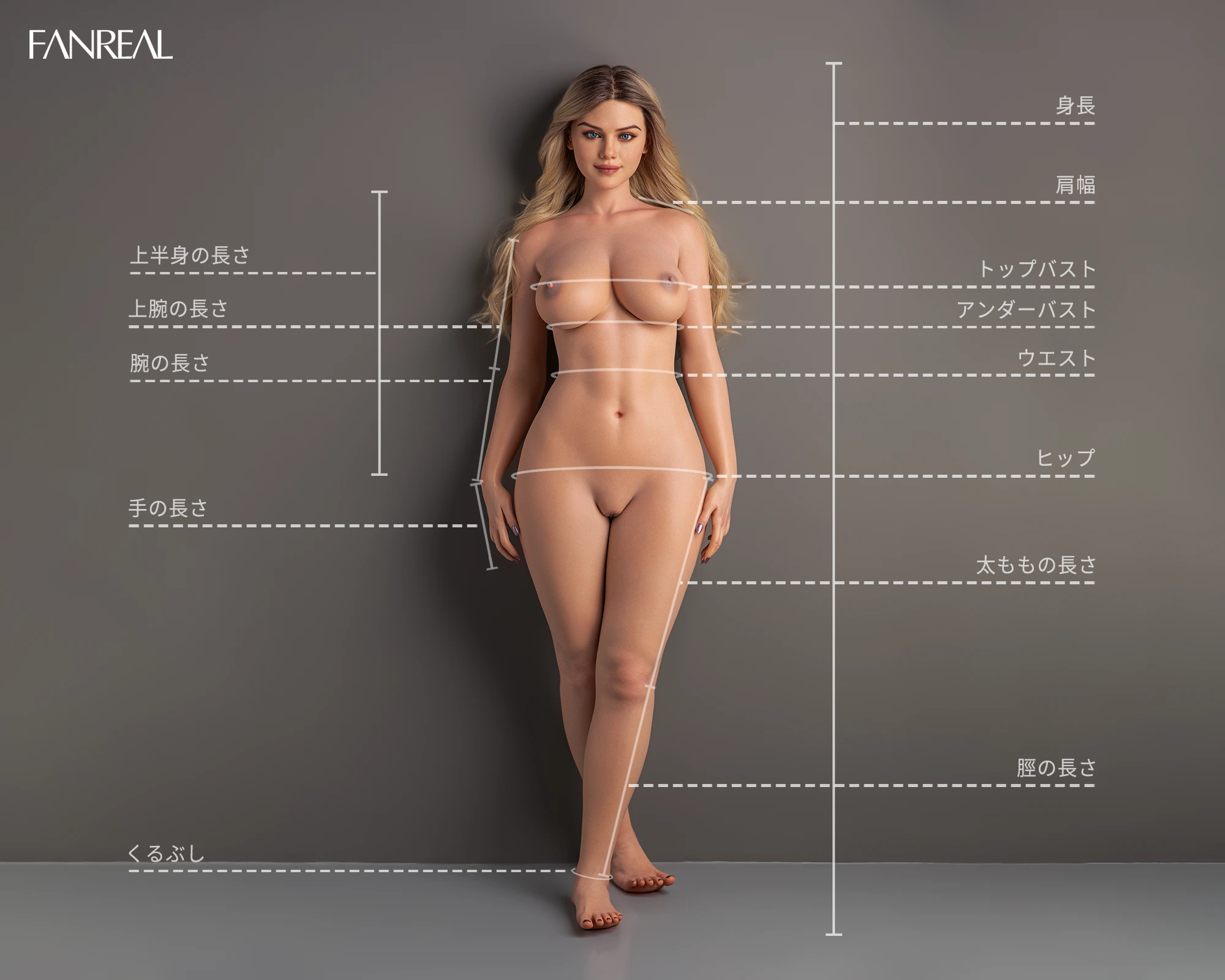 FANREAL体型寸法測定図